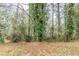 View of the wooded backyard featuring lush greenery and mature trees providing a nature view at 2916 Lloyd Rd, Decatur, GA 30034