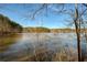 Scenic lake view surrounded by lush trees under a clear blue sky for a tranquil setting at 301 Ridgewood Trl, Canton, GA 30115