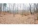 Picture of the lot with lots of foliage at 7460 Highway 101, Rockmart, GA 30153