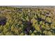 A vast expanse of trees surrounds a home with a winding driveway, as seen from an aerial view at 2513 Overlake Ln, Stockbridge, GA 30281