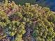 A captivating aerial perspective of a lakefront property surrounded by verdant trees at 2513 Overlake Ln, Stockbridge, GA 30281