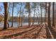 Scenic lake view through the trees, perfect for nature lovers seeking a tranquil environment at 2513 Overlake Ln, Stockbridge, GA 30281