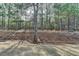 Peaceful view of wooded backyard at 4118 Haleston Rd, Duluth, GA 30097