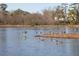 Picturesque pond with geese swimming, surrounded by trees and natural scenery at 108 Fieldbrook Xing, Holly Springs, GA 30115