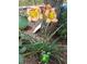Close-up of daylilies with a charming frog decoration, enhancing the garden's appeal at 226 Saul Dr, Ellenwood, GA 30294