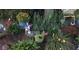 Lush garden display with various flowering plants adding color and life to the landscape at 226 Saul Dr, Ellenwood, GA 30294