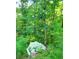 Picture of heavily wooded backyard at 132 Hammond Dr, Canton, GA 30114