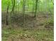 View of heavily wooded acreage ready for you to explore at 132 Hammond Dr, Canton, GA 30114