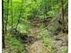 Heavily wooded area with a creek, fallen trees and lush greenery at 132 Hammond Dr, Canton, GA 30114