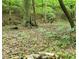 Wooded area, with a pile of rocks and wood at 132 Hammond Dr, Canton, GA 30114