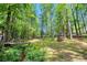 Lush backyard featuring a small wooden bridge, towering trees, and an expanse of green grass at 4352 Treeline Way, Douglasville, GA 30135