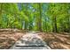 Scenic tree-lined driveway leading to a private home, offering a tranquil entrance surrounded by nature's beauty at 7530 Heard Rd, Cumming, GA 30041