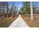 Long paved driveway leading to a property surrounded by mature trees and lush landscaping at 7530 Heard Rd, Cumming, GA 30041
