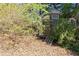 Backyard shed with a small door and surrounded by dense foliage at 3894 Stone Lake Nw Dr, Kennesaw, GA 30152