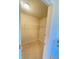 Spacious walk-in closet with carpeted floors, wire shelving and adequate lighting at 526 Blue Mountain Rise, Canton, GA 30114