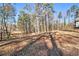 Wooded backyard with mature trees at 1675 Dodson Sw Dr, Atlanta, GA 30311