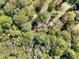 Aerial view of a densely wooded landscape with a meandering stream at 3889 Pineybrook Dr, Loganville, GA 30052