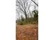 Scenic view of a property featuring trees and foliage in a natural setting on a cloudy day at 3230 Altacrest Dr, Scottdale, GA 30079
