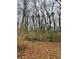 Image of a wooded lot with mature trees and a ground covered in autumn leaves at 3230 Altacrest Dr, Scottdale, GA 30079
