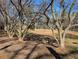 Backyard with mature trees offering shade, creating a peaceful and serene outdoor environment at 307 Adair St # 7-E, Decatur, GA 30030