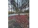 Yard with decorative tree bed covered with autumn leaves at 2720 Sandy Creek Cir, Loganville, GA 30052