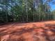 Large backyard with newly installed black fencing, surrounded by lush trees at 642 Presley Farm Pkwy, Rockmart, GA 30153