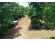 Aerial shot of a clearing with an old shed. Heavily wooded area at 616 Rich Davis Rd, Hiram, GA 30141
