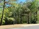 Scenic street view with lush trees, street light, and sidewalk, showcasing the neighborhood's natural beauty at 4146 Mcever Park Dr, Acworth, GA 30101