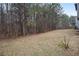 Showing backyard and tree line of the property at 11930 Guelph Cir, Hampton, GA 30228