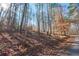 Secluded wooded backyard with lush trees offering privacy and a scenic view at 8245 Mill Run Trl, Whitesburg, GA 30185