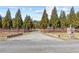 Long driveway to the house with pine trees and a stone mailbox at 212 Lakeview Dr, Newborn, GA 30056