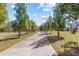 Driveway up to the house, flanked by trees, creating a welcoming entrance at 212 Lakeview Dr, Newborn, GA 30056
