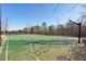 Wide angle view of a community basketball court featuring a green surface and basketball hoops at 807 Plaintain Dr, Woodstock, GA 30188