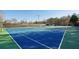 Community tennis court provides a professional-grade surface and ample lighting for any game at 807 Plaintain Dr, Woodstock, GA 30188