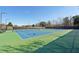 Community tennis courts with blue surface, black netting and lights surrounded by trees at 807 Plaintain Dr, Woodstock, GA 30188