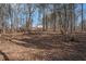 Secluded lot with home partially visible through the trees at 18 Village Trce, Rydal, GA 30171