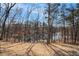 Beautiful view of the lake through the trees, adding to the property's natural charm at 18 Village Trce, Rydal, GA 30171