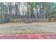 A fenced backyard with mature trees and a fire pit provides a relaxing outdoor space at 2506 Creek Station Dr, Buford, GA 30519