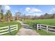 Long private driveway framed by a white fence leading to the picturesque property at 1511 Broadnax Mill Road, Loganville, GA 30052