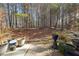 A backyard view of a natural wooded area from the back patio at 1914 Lakeshore Overlook Nw Cir, Kennesaw, GA 30152