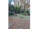A garden in the backyard features a stone path surrounded by manicured landscaping and mature trees at 1376 Keys Lake Ne Dr, Brookhaven, GA 30319