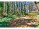 Wooded backyard featuring mature trees and lush greenery at 1465 Rockbridge Rd, Stone Mountain, GA 30087