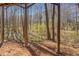 Wooded backyard view from the deck, offering a private and serene outdoor space at 169 Holly Ct, Loganville, GA 30052