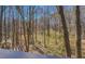 Picturesque view from the backyard, showcasing mature trees and natural scenery at 169 Holly Ct, Loganville, GA 30052