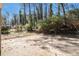 Backyard with mature trees and a concrete pad at 1945 Dodson Sw Dr, Atlanta, GA 30311