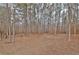 Backyard area with mature trees at 798 Mann Rd, Villa Rica, GA 30180