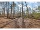 Large backyard with mature trees and lush landscaping provides privacy at 1040 Millridge Se Ln, Marietta, GA 30067