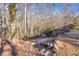 Backyard featuring trees and natural foliage at 2010 Skylar Leigh Dr, Buford, GA 30518
