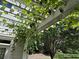 Cozy patio featuring a grape vine covered pergola providing shade and charm at 200 Edinburgh Ln, Woodstock, GA 30188