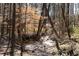 Picturesque creek flowing through a wooded area, enhancing the natural beauty of the community at 1105 Fountain Head Ln, Lawrenceville, GA 30043